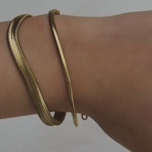 18k Flat Chain Necklace.